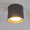 Macoupin Plafondlamp Zwart, 1-licht