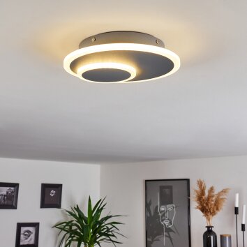 Harea Plafondlamp LED Grijs, 1-licht