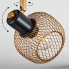 Pipisu Plafondlamp Goud, Messing, Zwart, 2-lichts