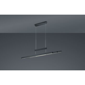 Trio Trajan Hanglamp LED Zwart, 3-lichts