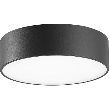 CMD AQUA LINE Buitenshuis plafond verlichting LED Antraciet, 1-licht