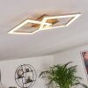 Batuna Plafondlamp LED Nikkel mat, 1-licht