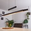 Inicio Hanglamp LED Zwart, 3-lichts