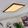 Boyero Plafondpaneel LED Zwart, 1-licht