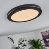 Canditas Plafondpaneel LED Zwart, 1-licht