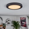 Canditas Plafondpaneel LED Zwart, 1-licht