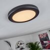 Canditas Plafondpaneel LED Zwart, 1-licht