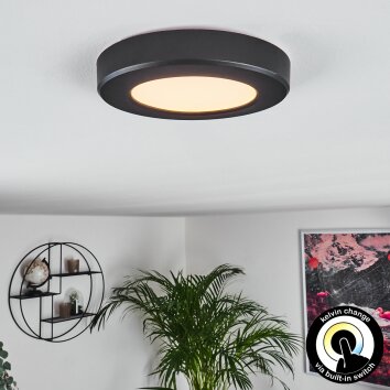 Canditas Plafondpaneel LED Zwart, 1-licht