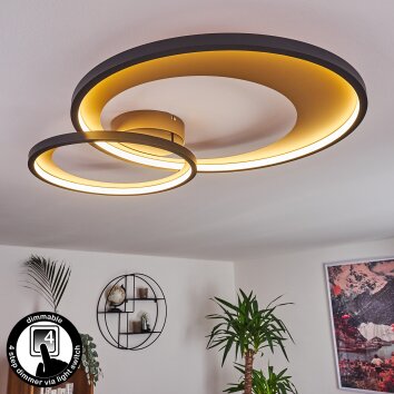 Tuzik Plafondlamp LED Goud, Zwart, 1-licht