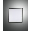 Fabas Luce Desdy Buitenshuis plafond verlichting LED Zwart, 1-licht