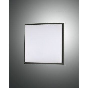 Fabas Luce Desdy Buitenshuis plafond verlichting LED Zwart, 1-licht