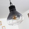 Coapilla Hanger Zwart, 1-licht