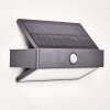 Wiborg Solarlamp LED Antraciet, 1-licht, Bewegingsmelder