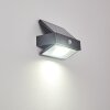 Wiborg Solarlamp LED Antraciet, 1-licht, Bewegingsmelder