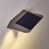 Camden Solarlamp LED Grijs, 1-licht, Bewegingsmelder