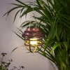 Hangzhou Solarlamp LED Roest, Transparant, Helder, 1-licht