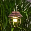 Hangzhou Solarlamp LED Roest, Transparant, Helder, 1-licht