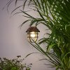 Hangzhou Solarlamp LED Roest, Transparant, Helder, 1-licht