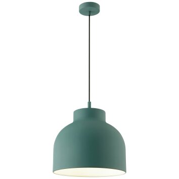 Brillliant Sven Hanglamp Groen, 1-licht