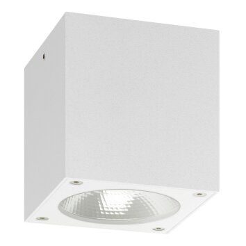 LCD 5029 Buitenshuis plafond verlichting LED Wit, 1-licht