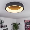 Pine Plafondlamp LED Zwart, 1-licht