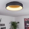 Pine Plafondlamp LED Zwart, 1-licht