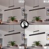 Ifo Hanglamp LED Zwart, 1-licht