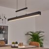 Ifo Hanglamp LED Zwart, 1-licht