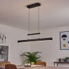 Ifo Hanglamp LED Zwart, 1-licht