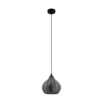 Eglo TAMALLAT Hanger Zwart, 1-licht