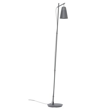 Eglo CANTERRAS Staande lamp Zwart, 1-licht