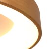 Steinhauer Ringlede Plafondlamp Goud, Wit, 1-licht