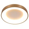 Steinhauer Ringlede Plafondlamp Goud, Wit, 1-licht