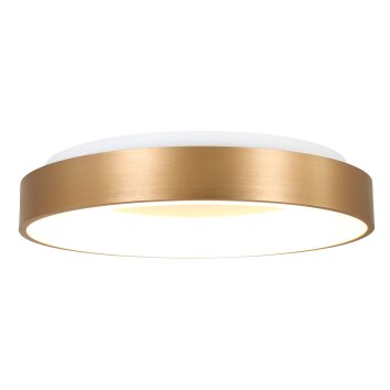 Steinhauer Ringlede Plafondlamp Goud, Wit, 1-licht