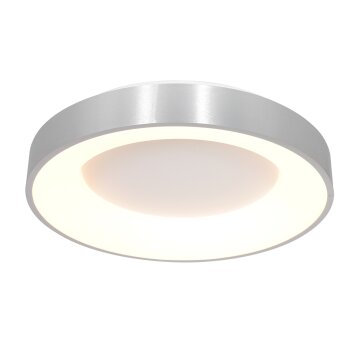 Steinhauer Ringlede Plafondlamp Zwart, 1-licht