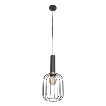 Steinhauer Aureole Hanglamp Zwart, 1-licht