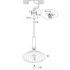 Steinhauer Aureole Hanglamp Zwart, 1-licht