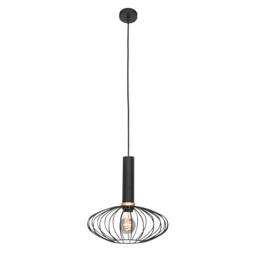 Steinhauer Aureole Hanglamp Zwart, 1-licht