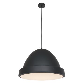 Steinhauer Nimbus Hanglamp Zwart, 1-licht