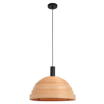 Steinhauer Veneer Hanglamp Zwart, 1-licht