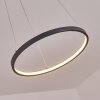 Calcium Hanger LED Zwart, 1-licht