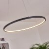 Calcium Hanger LED Zwart, 1-licht