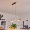 Inicio Hanglamp LED Nikkel mat, 5-lichts