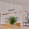 Inicio Hanglamp LED Nikkel mat, 5-lichts