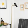 Zuoz Staande lamp Messing, Zwart, 1-licht