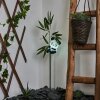 Beo Solarlamp LED Groen, Zwart, 1-licht