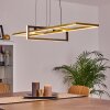 Omega Hanglamp LED Zwart, 1-licht