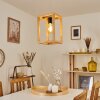 Torreglia Hanger Hout licht, 1-licht