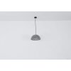 Globo HOLLIE Hanger Zwart, 1-licht