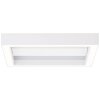 Brilliant Icarus Plafondlamp LED Wit, 1-licht, Afstandsbediening, Kleurwisselaar